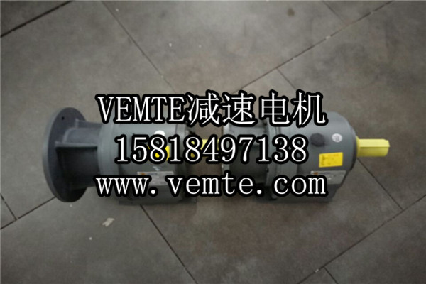 立式齒輪減速機，臥式齒輪減速機,齒輪減速電機,齒輪減速馬達 (1)